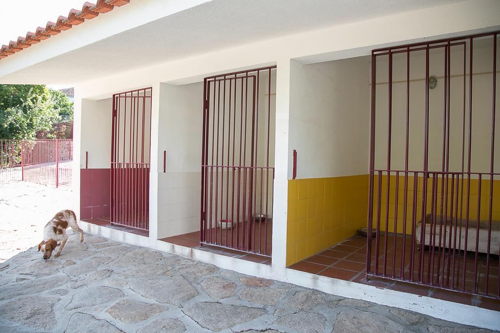 Solar Dos Almeidas - Turismo De Habitacao Bed & Breakfast Trancoso Bagian luar foto